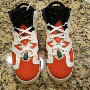 Air jordan 6 gatorades